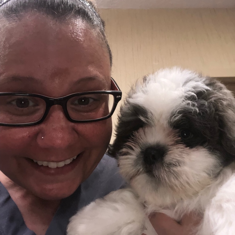Meet your Posher, Shannon